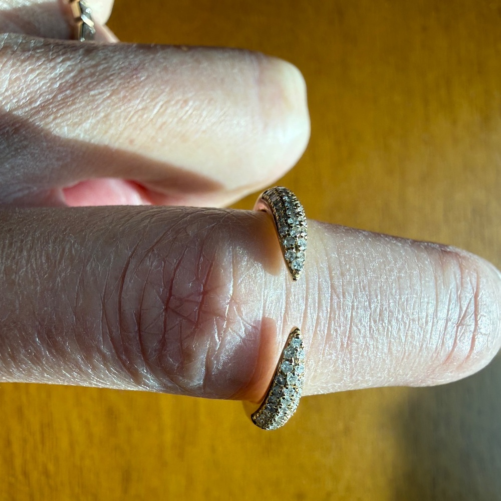 Ring Concierge Ring - image 2